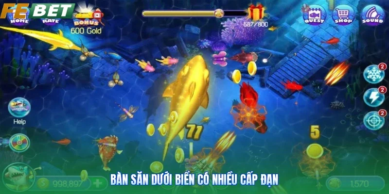 Bàn săn dưới biển có nhiều cấp đạn
